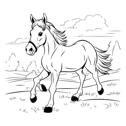 Horse in the field. Black and white vector illustration for colo