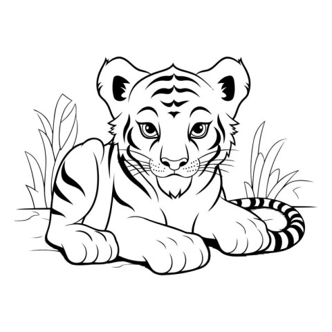 Black and white vector illustration of a tiger isolated on a whi