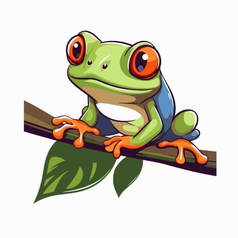 Frog on a branch. Vector illustration isolated on white backgrou