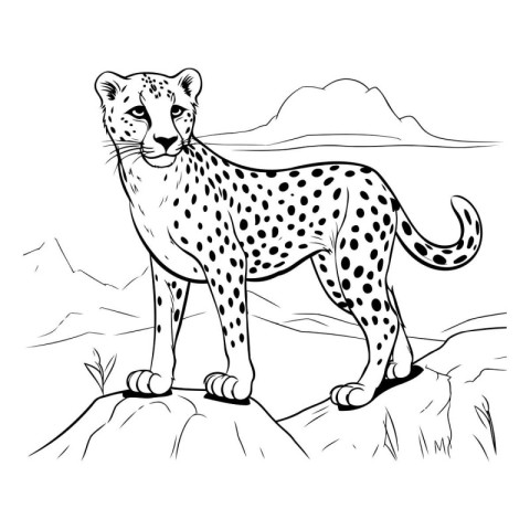 Cheetah standing on the rock. Hand drawn vector illustration.