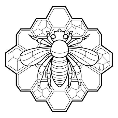 Black and white outline of a bee on a honeycomb. Vector illustra