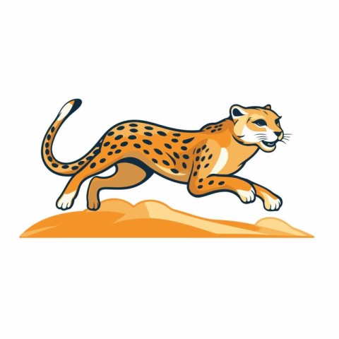 Cheetah running on the sand. Wild cat. Vector illustration