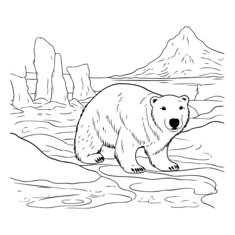 Polar bear in the wild. sketch for your design. Vector illustrat