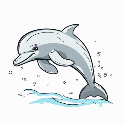 Dolphin in the water. Vector illustration on a white background.