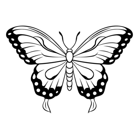 Butterfly isolated on white background. Vector illustration in d