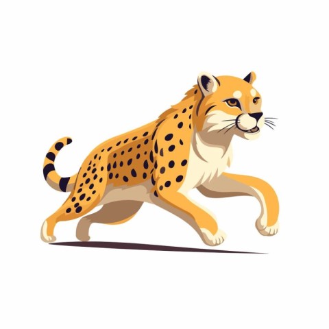 Cartoon cheetah running on white background. Vector illustration