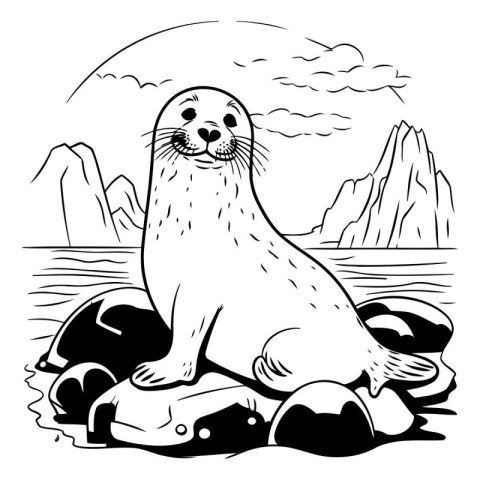 Seals on the rocks. Black and white vector illustration for colo