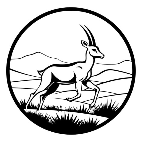 Gazelle. gazelle. antelope. black and white vector illustration