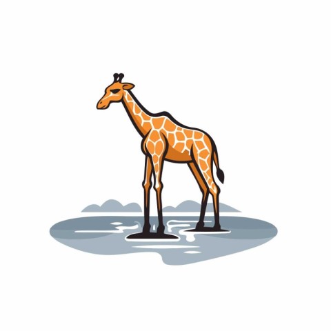 Giraffe isolated on white background. Vector illustration in fla