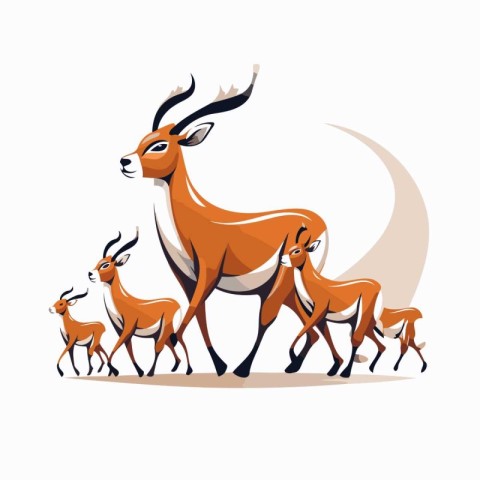 Family of impala and baby deer. Vector illustration on white bac