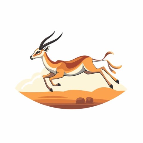 Wild gazelle. African antelope vector Illustration on a white ba