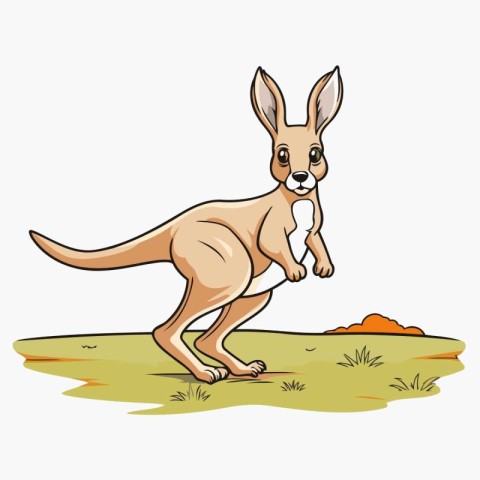 Kangaroo on the grass. Vector illustration of a kangaroo.