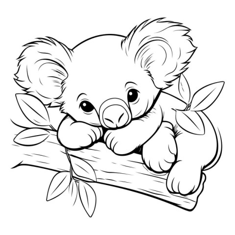 Coloring book for children: Koala sitting on a branch with leave