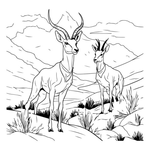 Antelope in the mountains. Black and white vector illustration f