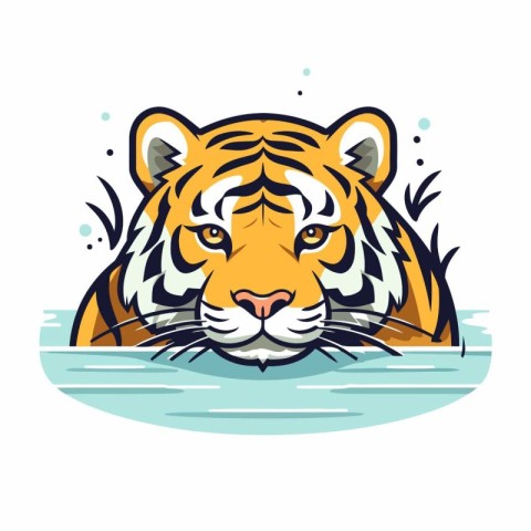 Vector illustration of a tiger head on a white background. Isola