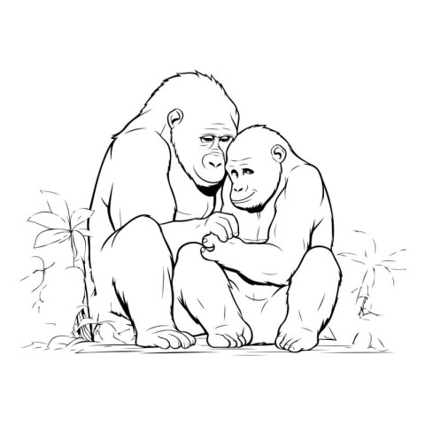 Gorilla and monkey sitting on the ground. Black and white vector