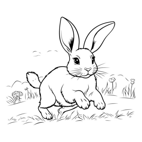 Rabbit - black and white vector illustration for coloring book o