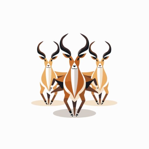 Vector image of a group of antelope on a white background.