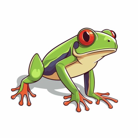 Cartoon green frog isolated on white background. Vector illustra