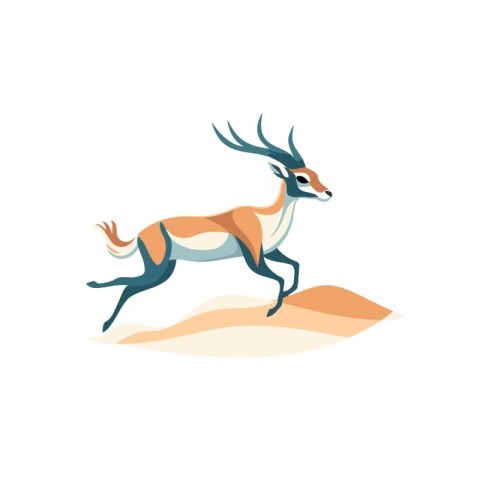 Wild Antelope. Antelope vector Illustration isolated on a white