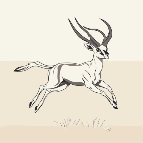 antelope running in the field. sketch vector graphics monochrome