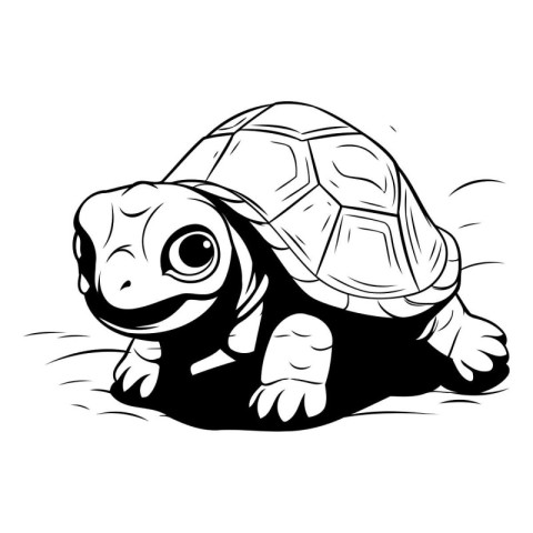 Turtle - black and white vector illustration. isolated on white