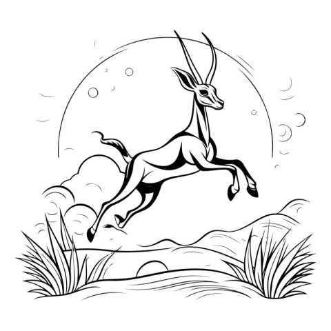 Gazelle jumping in the grass. Black and white vector illustratio