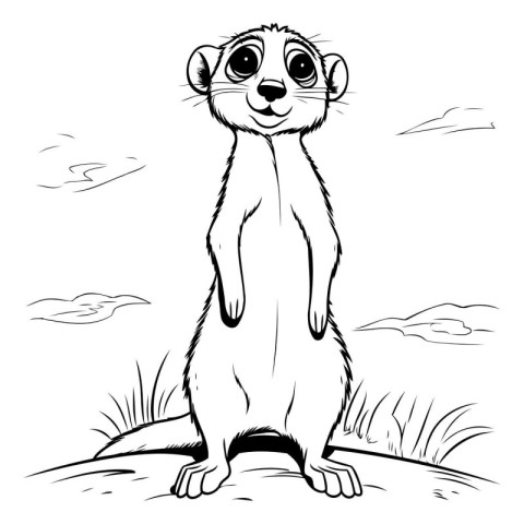 Meerkat black and white vector illustration for coloring book or