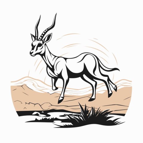 Antelope in the desert. African antelope. Vector illustration.