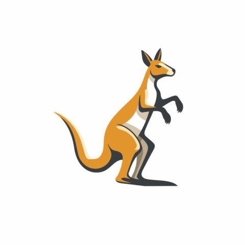 Kangaroo logo. Kangaroo vector illustration on white background.