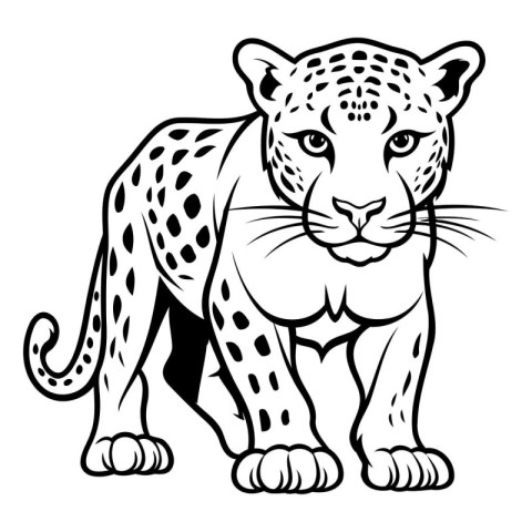 Leopard - Wild Animal Vector Illustration - Black and White Cart