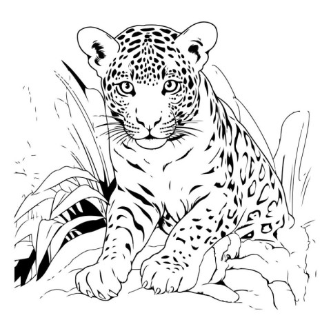 Leopard sitting in the grass. Hand drawn vector illustration for