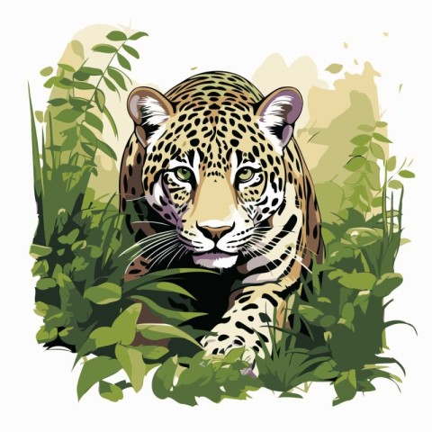 Jaguar in the jungle. Vector illustration of wild animal.