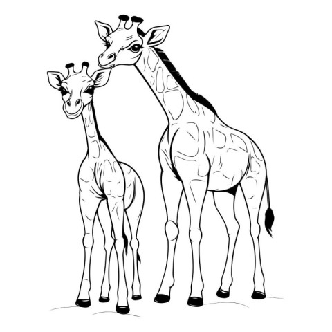 Giraffe mother with her baby. sketch vector graphics monochrome