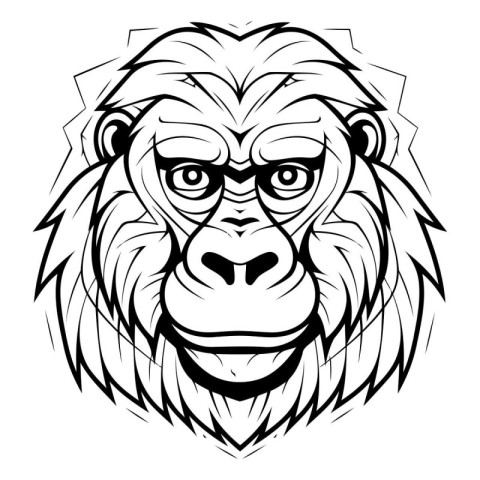 Monkey head vector illustration in black and white colors isolat