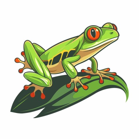 Frog on a leaf isolated on white background. Vector illustration