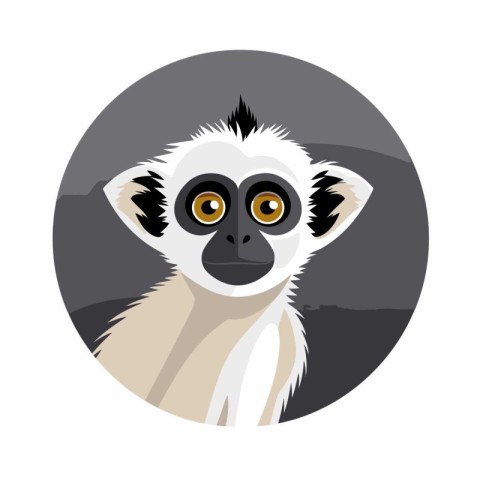 Cute lemur monkey. Vector illustration of a wild animal.