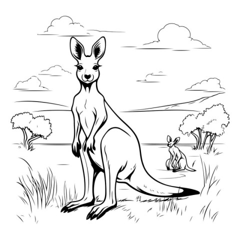 Kangaroo on the meadow. Black and white vector illustration.