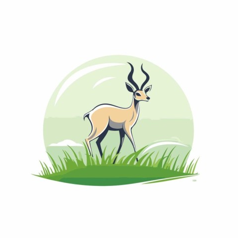 Antelope in the grass. Vector illustration isolated on white bac