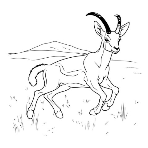 Vector image of a goat on a white background. Monochrome image.