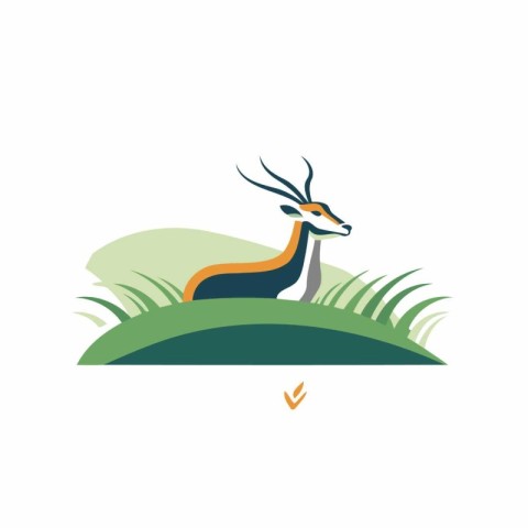 Antelope in the grass. Vector illustration of a wild animal.