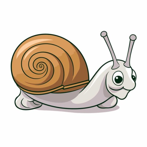 Snail isolated on white background. Cartoon snail. Vector illust