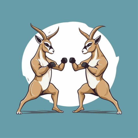 Kangaroos fight. Vector illustration of kangaroos boxing.