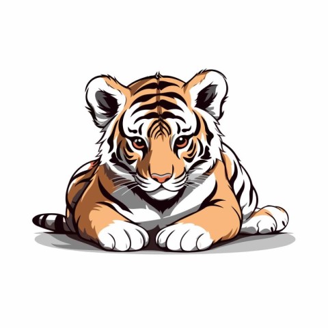 Vector illustration of a tiger. Isolated on a white background.