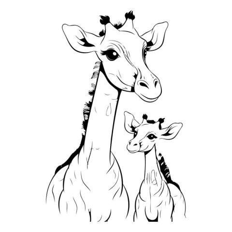 Giraffe mother and baby. Black and white vector illustration.