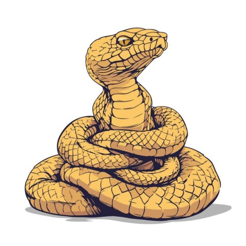 Cobra snake on white background. Vector illustration in sketch s