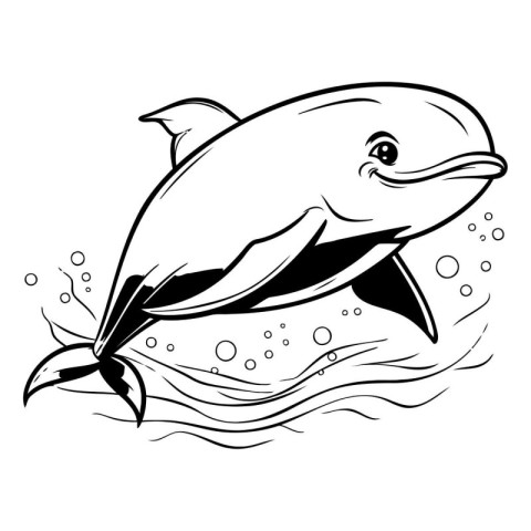 Dolphin jumping out of water. Black and white vector illustratio