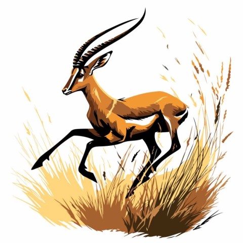 African antelope in the grass. Vector illustration of antelope.