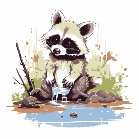 Raccoon drinking water from a puddle. Vector illustration.