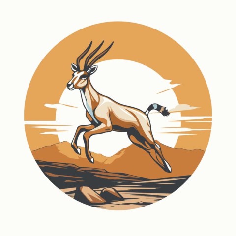 Antelope in the desert. Antelope in the desert. Vector illustrat